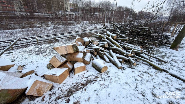 Fot. Robert Stachnik [Radio Szczecin] Kolejarze usuwają drzewa, mieszkańcy niezadowoleni [ZDJĘCIA]