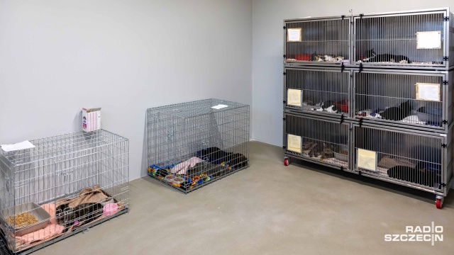 Fot. Robert Stachnik [Radio Szczecin] Mróz bardzo niebezpieczny dla bezdomnych zwierząt [WIDEO, ZDJĘCIA]