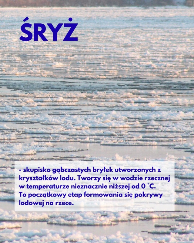 Mat. Towarzystwo Krajoznawcze Krajobraz Śryż, okiść, sastrugi i morszkulce - sroga zima przywraca zapomniane polskie słowa
