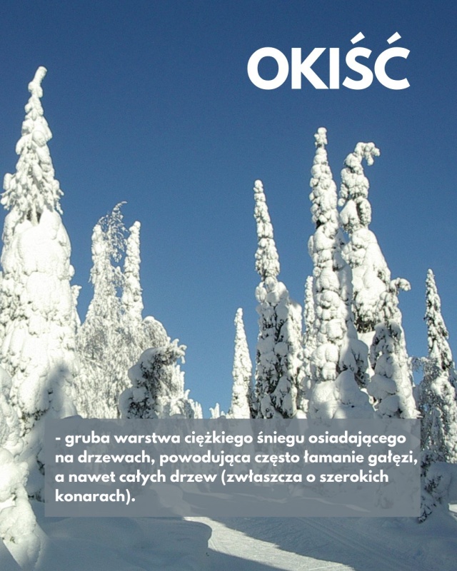 Mat. Towarzystwo Krajoznawcze Krajobraz Śryż, okiść, sastrugi i morszkulce - sroga zima przywraca zapomniane polskie słowa