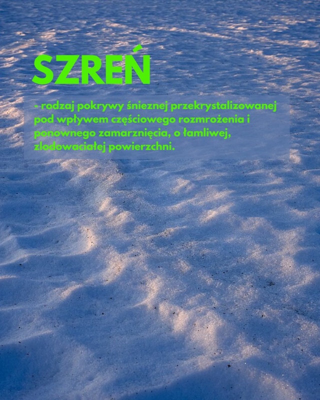 Mat. Towarzystwo Krajoznawcze Krajobraz Śryż, okiść, sastrugi i morszkulce - sroga zima przywraca zapomniane polskie słowa