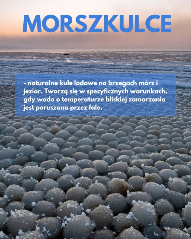 Mat. Towarzystwo Krajoznawcze Krajobraz Śryż, okiść, sastrugi i morszkulce - sroga zima przywraca zapomniane polskie słowa