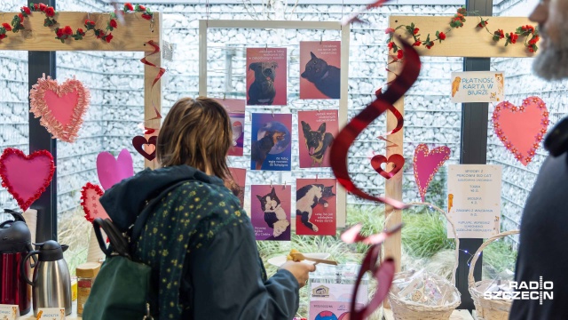 Fot. Robert Stachnik [Radio Szczecin] "Każdy zasługuje na miłość" - walentynki w schronisku dla zwierząt [WIDEO, ZDJĘCIA]