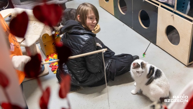 Fot. Robert Stachnik [Radio Szczecin] "Każdy zasługuje na miłość" - walentynki w schronisku dla zwierząt [WIDEO, ZDJĘCIA]