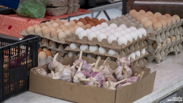 Fot. Kamila Kozioł [Radio Szczecin] Świeżo, zdrowo i lokalnie. Bazarek na Bronowickiej zaprasza [WIDEO, ZDJĘCIA]