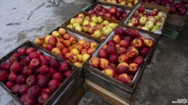 Fot. Kamila Kozioł [Radio Szczecin] Świeżo, zdrowo i lokalnie. Bazarek na Bronowickiej zaprasza [WIDEO, ZDJĘCIA]