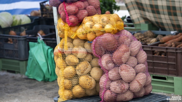 Fot. Kamila Kozioł [Radio Szczecin] Świeżo, zdrowo i lokalnie. Bazarek na Bronowickiej zaprasza [WIDEO, ZDJĘCIA]