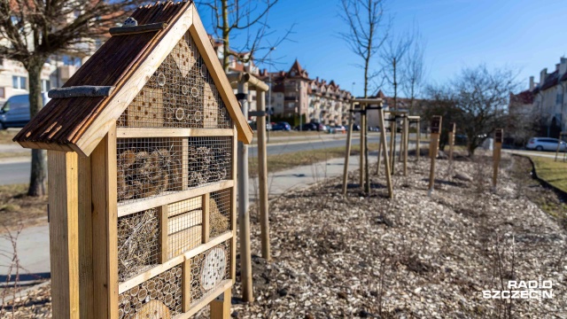 Fot. Robert Stachnik [Radio Szczecin] Masz pomysł na Szczecin? Zdecyduj, jak wydać 22,5 mln zł w SBO [ZDJĘCIA]