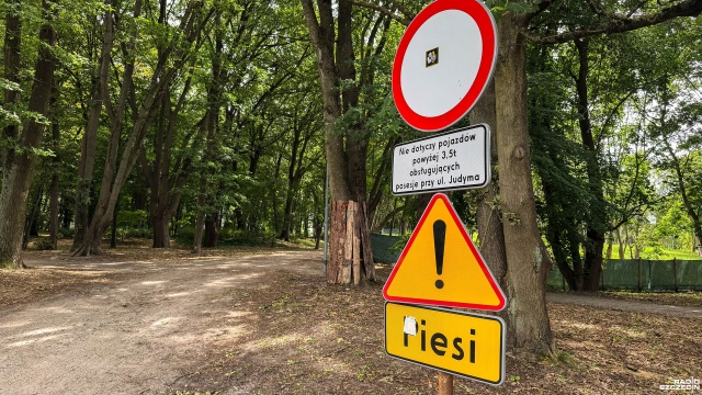 Fot. Wojciech Ochrymiuk [Radio Szczecin] Droga zamiast dzikiego przejazdu przez szczeciński park [ZDJĘCIA]