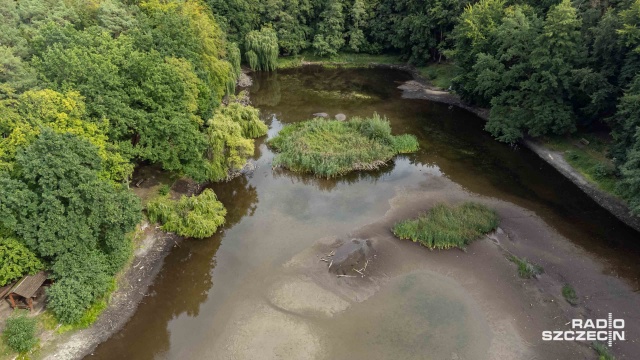 Fot. Robert Stachnik [Radio Szczecin] Staw Wędkarski w Szczecinie wysycha [WIDEO, ZDJĘCIA]