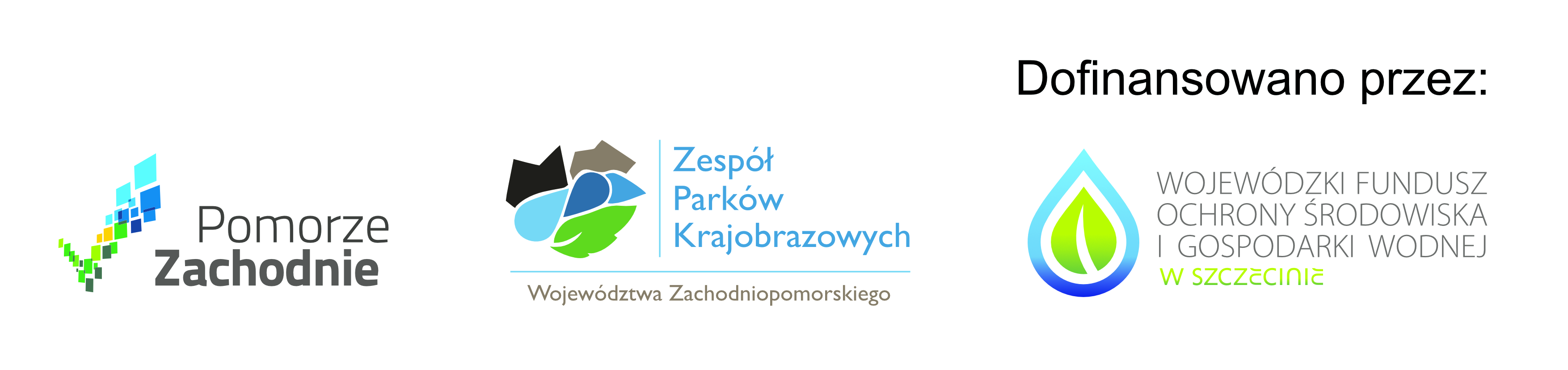 logotypy DDO uproszczona wersja