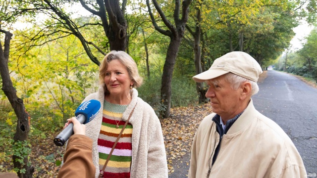 Fot. Robert Stachnik [Radio Szczecin] Oznaczone drzewa na Gumieńcach. Mieszkańcy obawiają się, że zostaną wycięte [ZDJĘCIA]