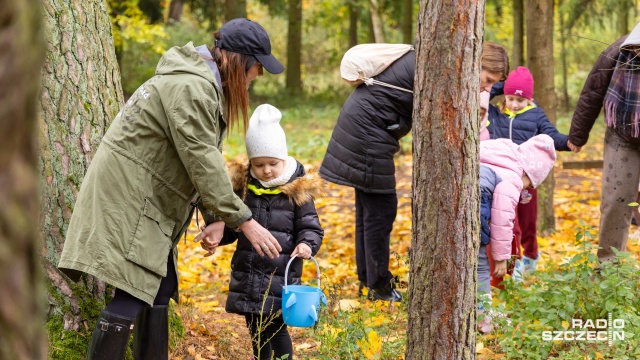 Fot. Robert Stachnik [Radio Szczecin] Pierwsze grzybobranie szczecińskich przedszkolaków [WIDEO, ZDJĘCIA]