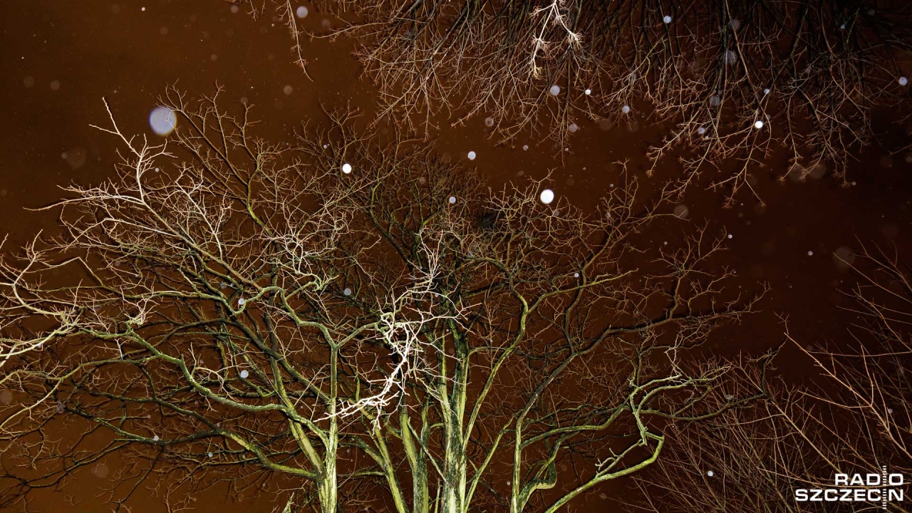 Ostrzeżenie przed silnym wiatrem