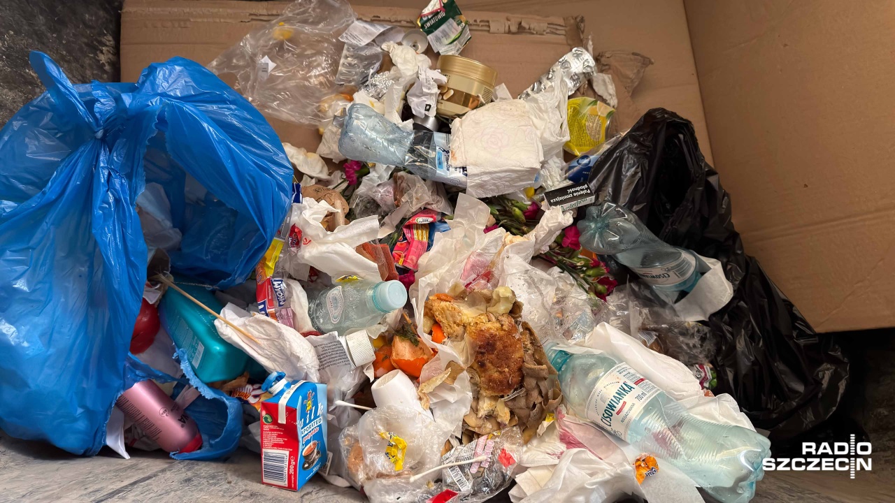 Mieszkańcy północy Szczecina: szczury biegają, jakby były u siebie [WIDEO, ZDJĘCIA]