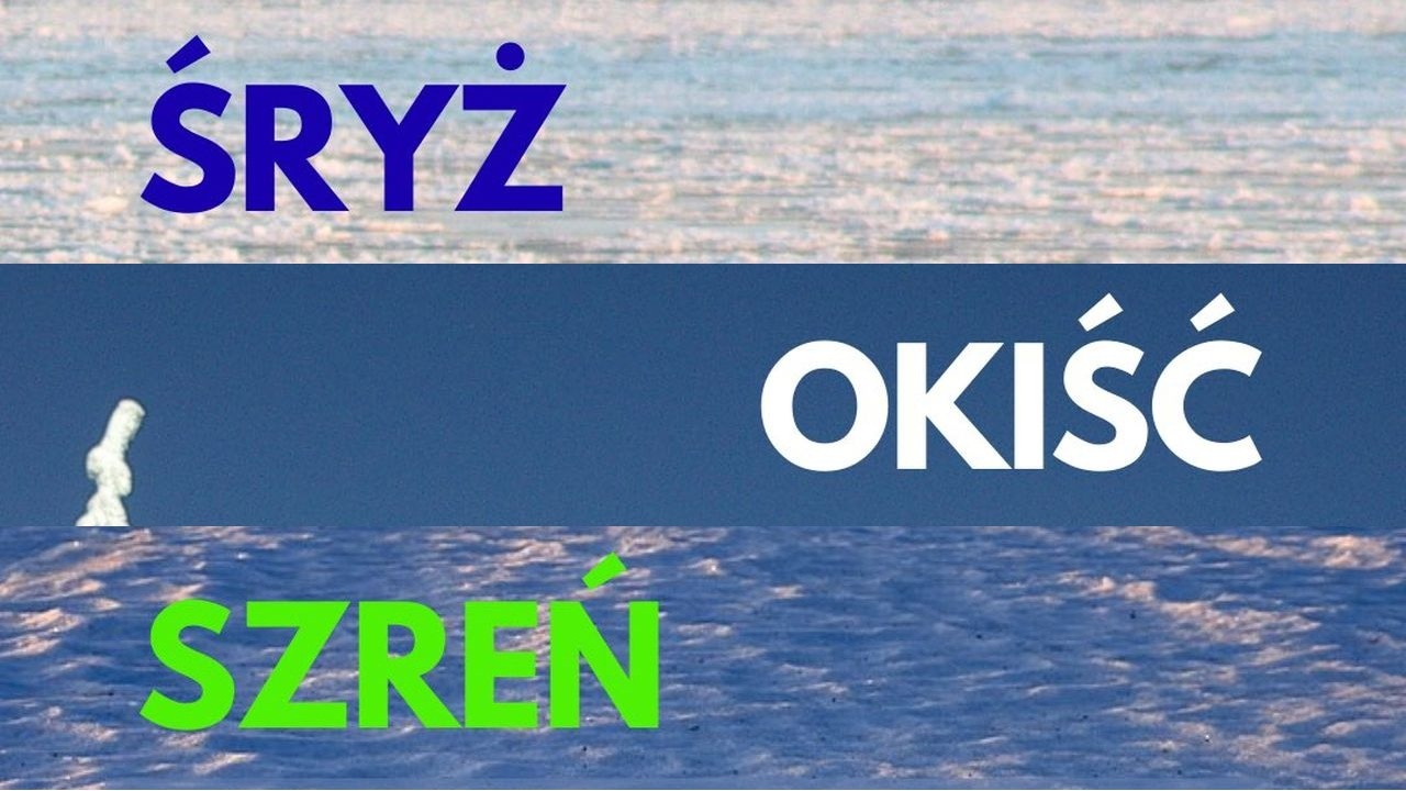 Śryż, okiść, sastrugi i morszkulce - sroga zima przywraca zapomniane polskie słowa