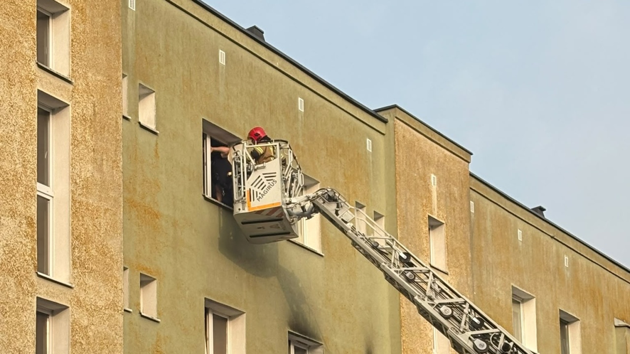 Mieszkańcy chcą pomóc pozostawionemu psu. "Non stop dzwonimy, wysyłamy e-maile"
