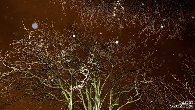 Instytut Meteorologii i Gospodarki Wodnej wydał ostrzeżenia pierwszego stopnia przed silnym wiatrem w regionie.