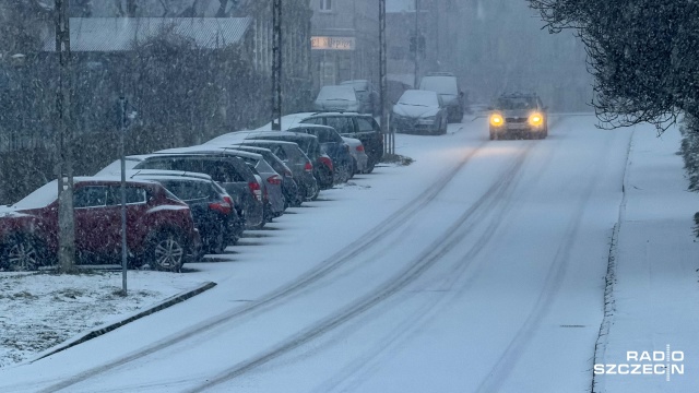 Ostrzeżenia przed śnieżycami