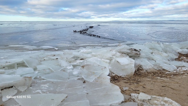 Zimny, silny wiatr nie wystraszył w niedzielę spacerowiczów na promenadzie w Trzebieży.
