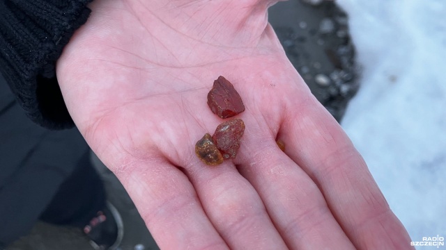 Wiatr od morza dla jednych oznacza trudne warunki do spacerowania, dla innych szansę na naturalne pamiątki znad Bałtyku, bo wraz z falami, na brzeg wyrzucane są bursztyny.