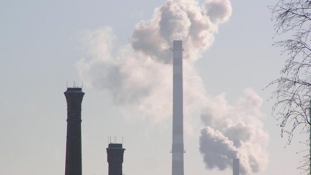 Urząd Ochrony Konkurencji i Konsumentów postawił tym spółkom zarzuty dotyczące tak zwanego greenwashingu.