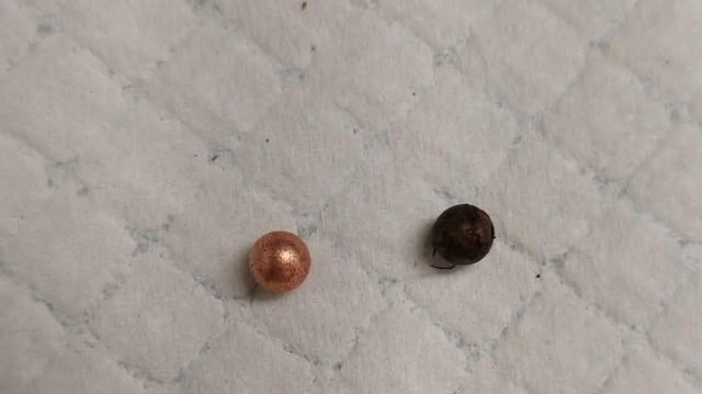 Postrzelone gołębie spadają na taras - mieszkańcy Prawobrzeża zgłaszają sprawę do prokuratury.