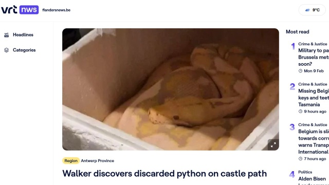 W porcie w Antwerpii odkryto zielonego legwana i pytona skalnego, które przypłynęły do Belgii na gapę na statkach towarowych z Karaibów i Afryki.