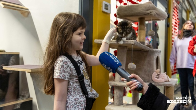 W schronisku trwa akcja walentynkowa, z prelekcjami, warsztatami i słodkim poczęstunkiem. A odwiedzający przede wszystkim mogą zapoznać się z czworonogami.