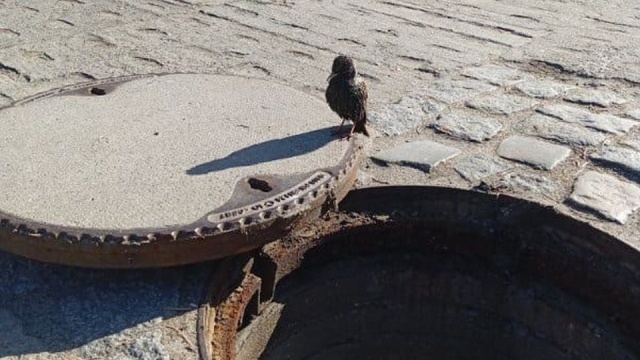 To był niecodzienny telefon - przyznają przedstawiciele Zakładu Wodociągów i Kanalizacji w Szczecinie.