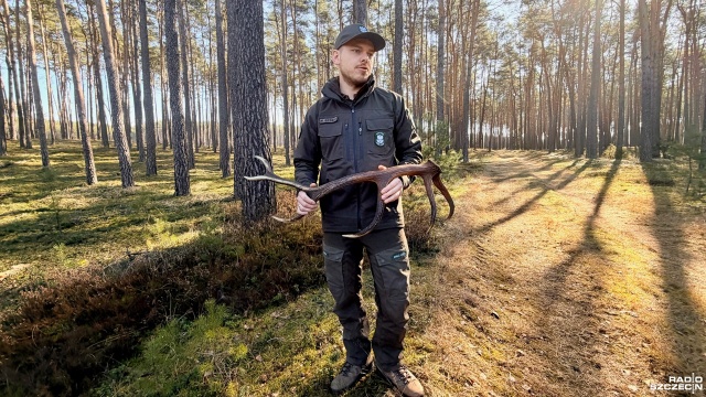 Za wjazd samochodami do lasu, palenie tam papierosów i puszczanie psa bez smyczy - posypały się mandaty. W zachodniopomorskich lasach trwa akcja Wieniec 2026.