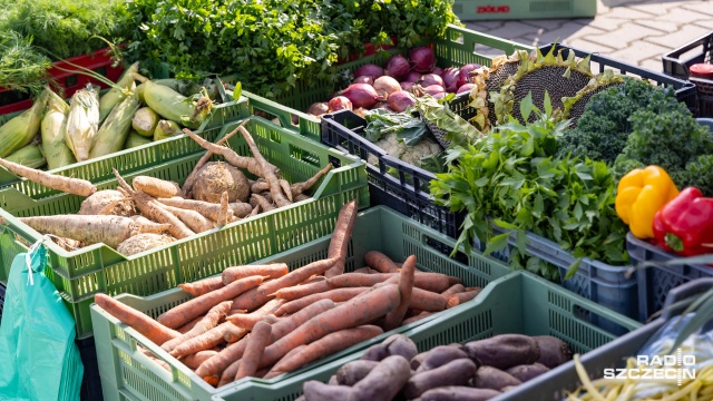 Polska wieś coraz bardziej obawia się konsekwencji wywołanych konfliktem zbrojnym na Bliskim Wschodzie. Do wzrostu kosztów produkcji przyczyniają się w głównej mierze galopujące ceny paliw.