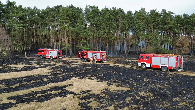 10 hektarów nieużytków i 2 hektary lasu spłonęło w Bieniczkach niedaleko Nowogardu.