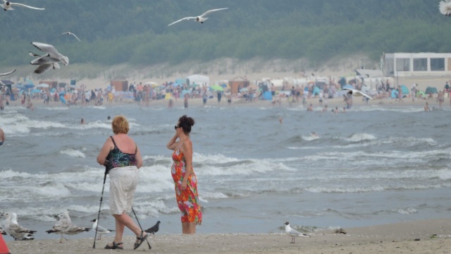 Polskie Miami - takim mianem niemieckie media okrzyknęły Świnoujście. Na jednym z niemieckich portali internetowych pojawił się artykuł chwalący polski kurort. Zachodni sąsiedzi zachwycają się urokami plaży i atrakcyjnością miasta.