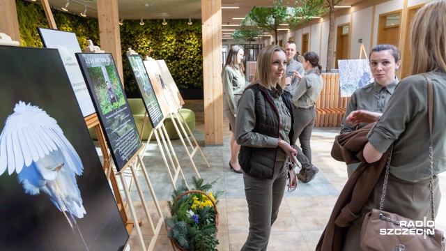 Portrety dudka, bielika, borsuka czy rysia na wystawie Leśni Ambasadorzy. Głos przyrody ubrany w obraz. Została właśnie otwarta w siedzibie Regionalnej Dyrekcji Lasów Państwowych w Szczecinie.