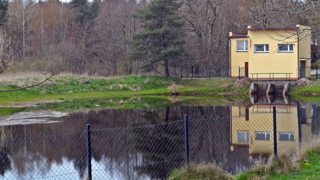 W kanale w Grzybowie pojawiła się czarna woda. Służby uspokajają, że pochodzi z torfowisk i jest całkowicie nieszkodliwa.