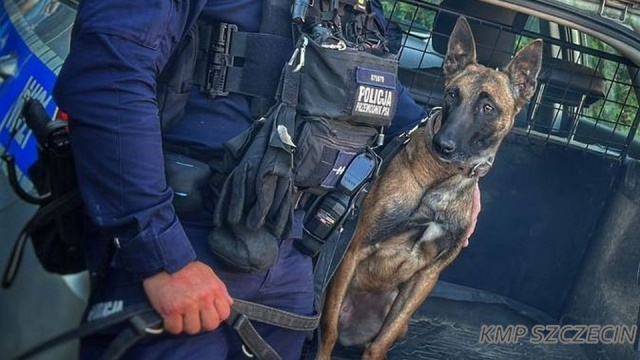 Szczecińscy policjanci odnaleźli zaginionego starszego mężczyznę i jego 4- letniego wnuka.