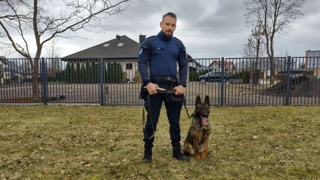 Warna - owczarek belgijski - zasiliła szeregi policji. Wraz z właścicielem wróciła z intensywnego szkolenia i już rozpoczęła służbę.