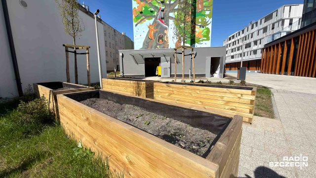 W tych donicach nie będą rosły tylko rośliny, ale też wspólne pomysły mieszkańców. W Kwartale 36. w Szczecinie powstanie sąsiedzki ogród, który ma zmienić wnętrze osiedla w zieloną aktywną przestrzeń.