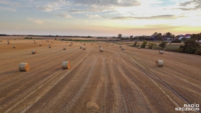 Polski rząd zaskarży umowę z krajami Mercosur do Trybunału Sprawiedliwości Unii Europejskiej - zapowiedział wicepremier Władysław Kosiniak-Kamysz.