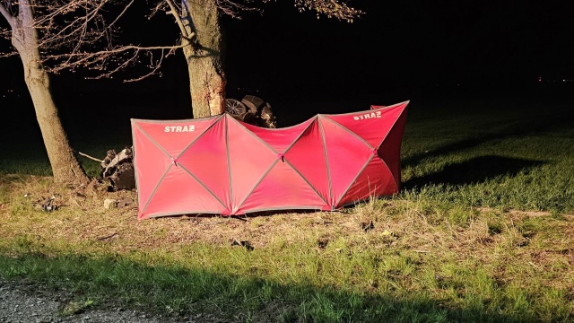 Osobowe BMW wypadło z drogi i uderzyło w drzewo.