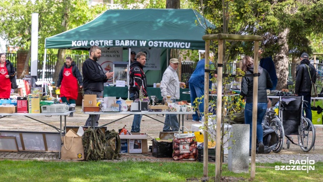 Ogród Zachodniopomorskiego Urzędu Wojewódzkiego w Szczecinie stał się areną pomagania - trwa tam XIX Kiermasz Charytatywny organizowany przez Stowarzyszenie Paczka dla Bohatera.