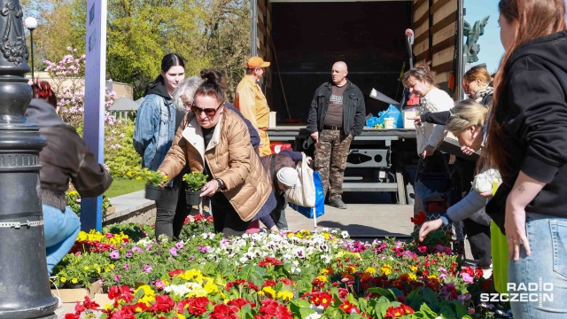 Wiosenne eko-porządki na szczecińskich Jasnych Błoniach: od godziny 10 trwa tam coroczna akcja Kwiat za grat.