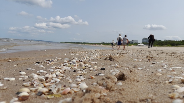 Świnoujście po raz kolejny walczy o tytuł turystycznego lidera, zdobywając aż cztery prestiżowe nominacje w 13. edycji ogólnopolskiego Rankingu Polskich Plaż organizowanego przez portal Travelist.