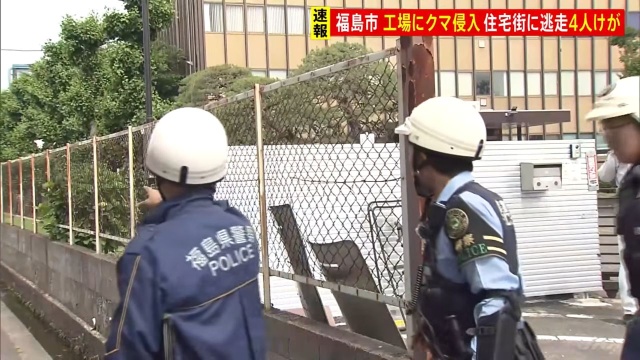 Cztery osoby zostały ranne we wtorek rano w serii ataków niedźwiedzia w mieście Fukushima na północnym wschodzie Japonii  podały miejscowe media.