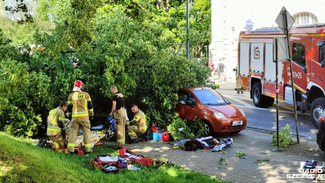 Wypadek w centrum Kołobrzegu. Na ulicy Łopuskiego drzewo przewróciło się na przechodniów.