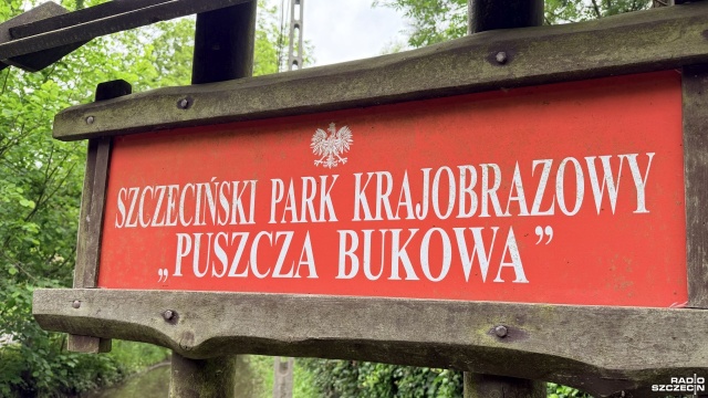 Powstanie jednego wielkiego rezerwatu ma zablokować wycinkę drzew w Puszczy Bukowej - w Sejmie posłowie rozmawiali o przyszłości szczecińskiego lasu.