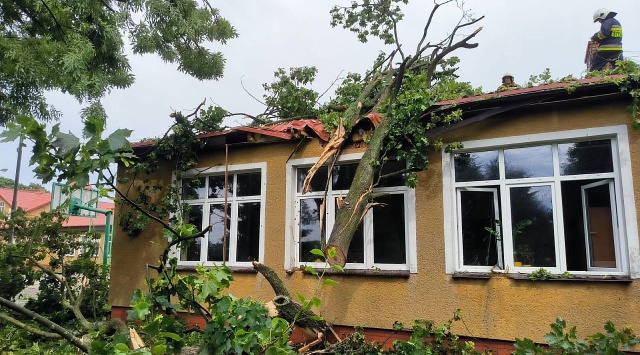 145 interwencji, spowodowanych przechodząca przez nasz region burzą, zanotowali w ciągu dnia zachodniopomorscy strażacy.