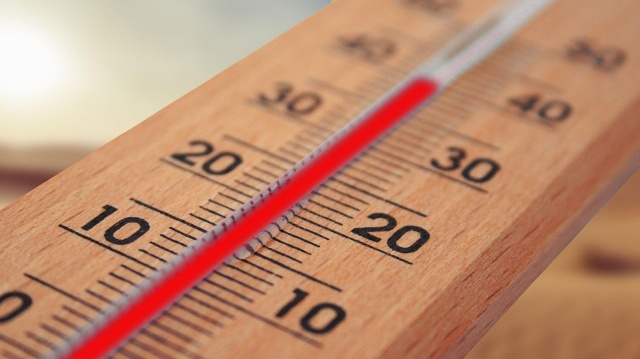 Rząd przygotowuje się na rosnące zagrożenie upałami w Polsce. W weekend temperatura ma sięgnąć nawet 40 stopni.