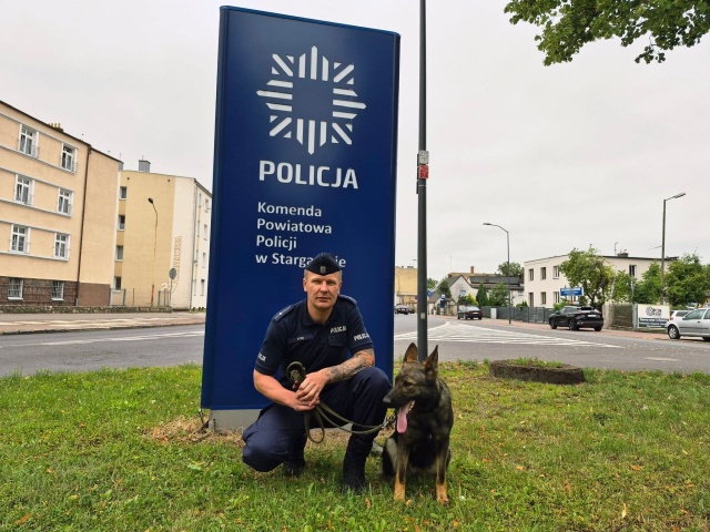 Nowa, czworonożna funkcjonariuszka dołączyła do stargardzkiej policji. To ZONA, czyli owczarek niemiecki specjalizujący się w wykrywaniu zapachów materiałów wybuchowych.